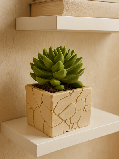 PlantMe - Stone Bloom Planter Pot (Logo/Name Customized)
