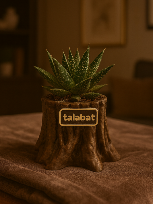 PlantMe - Root Rise Planter Pot (Logo/Name Customized)