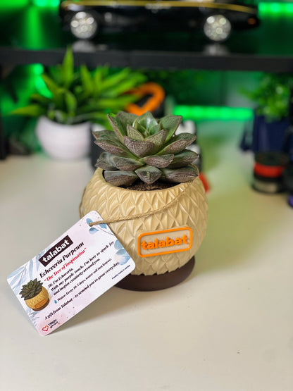 PlantMe - Pine Shell Planter Pot (Logo/Name Customized)