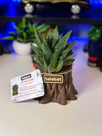 PlantMe - Root Rise Planter Pot (Logo/Name Customized)