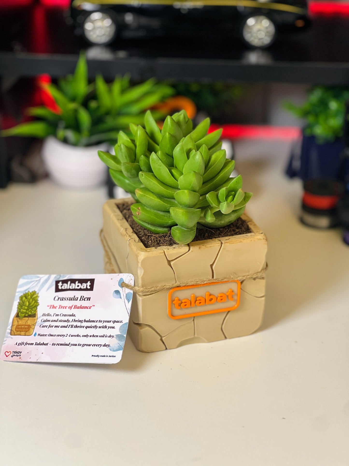 PlantMe - Stone Bloom Planter Pot (Logo/Name Customized)