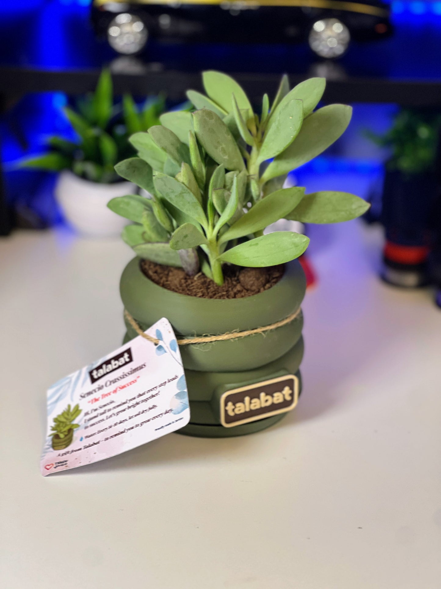 PlantMe - Zen Loops Planter Pot (Logo/Name Customized)