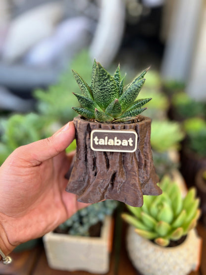 PlantMe - Root Rise Planter Pot (Logo/Name Customized)