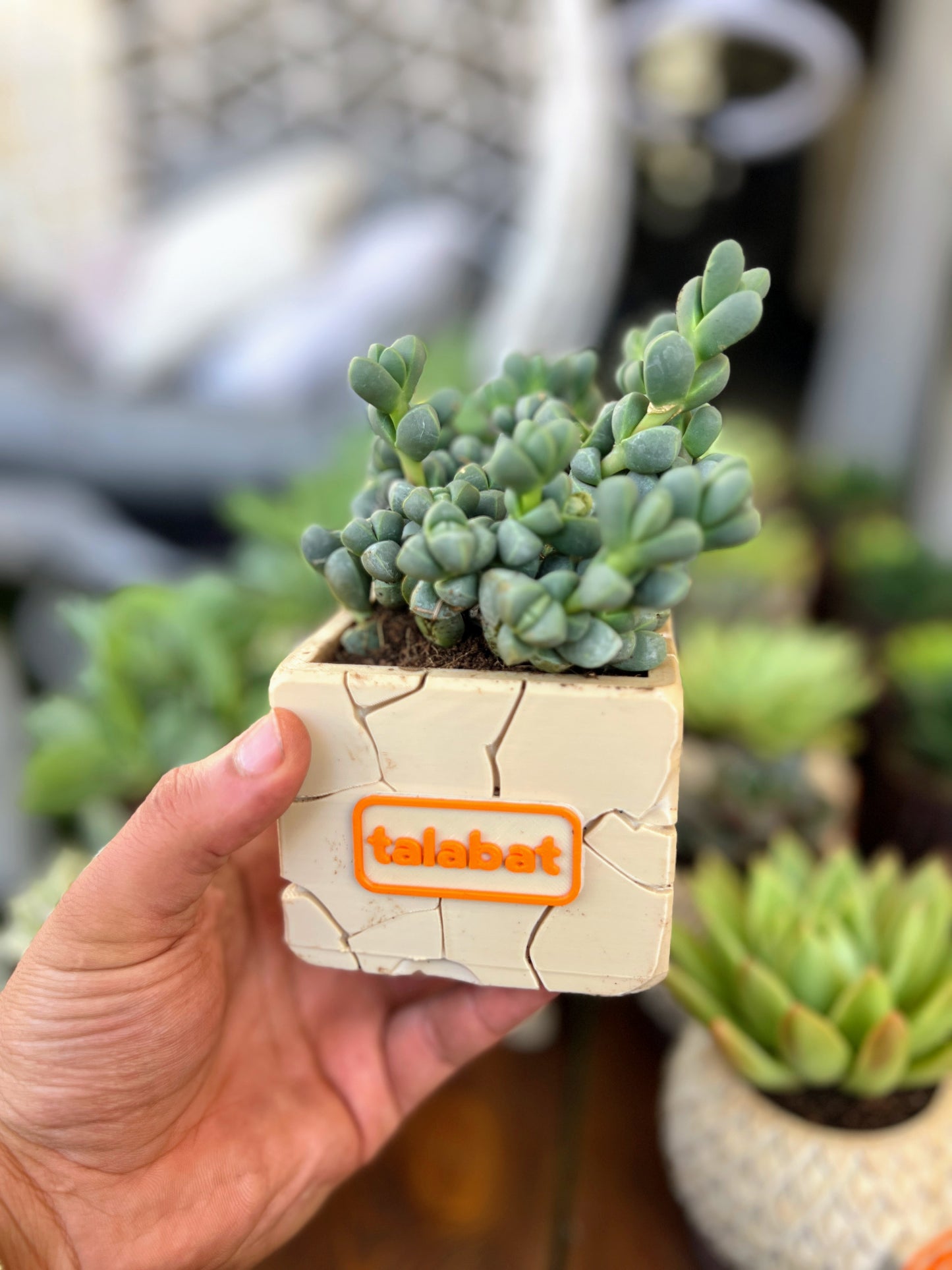 PlantMe - Stone Bloom Planter Pot (Logo/Name Customized)