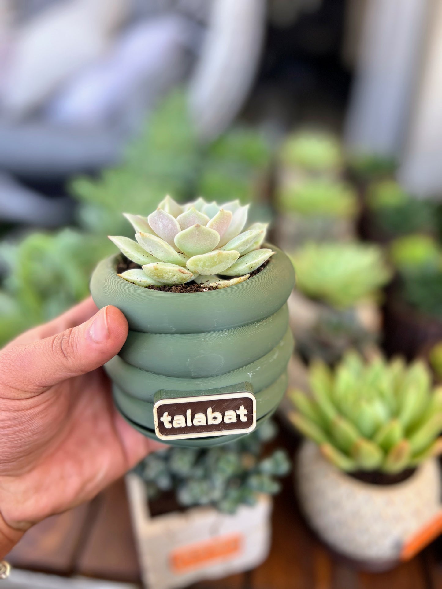 PlantMe - Zen Loops Planter Pot (Logo/Name Customized)