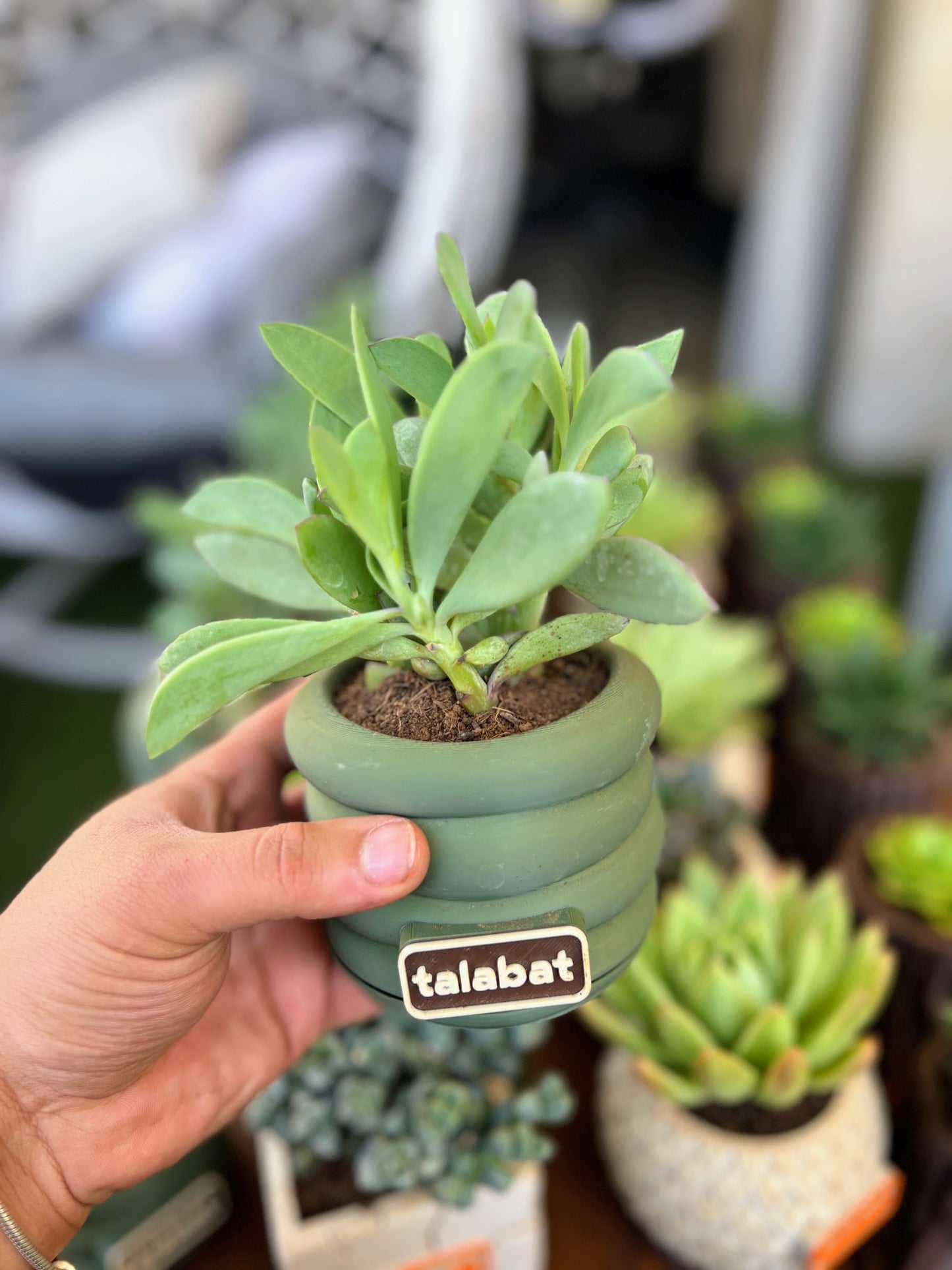 PlantMe - Zen Loops Planter Pot (Logo/Name Customized)