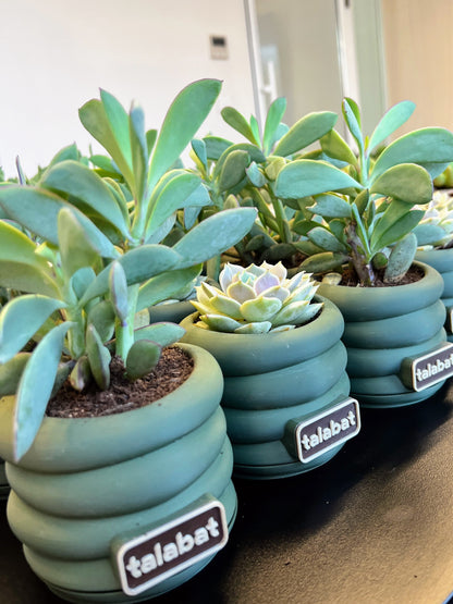 PlantMe - Zen Loops Planter Pot (Logo/Name Customized)