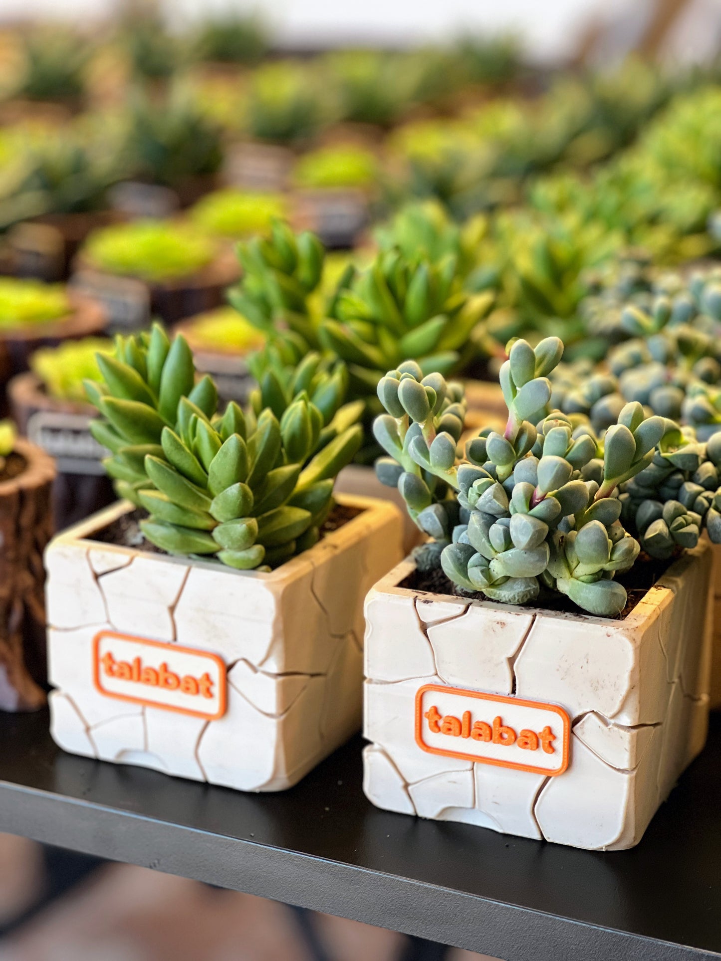 PlantMe - Stone Bloom Planter Pot (Logo/Name Customized)