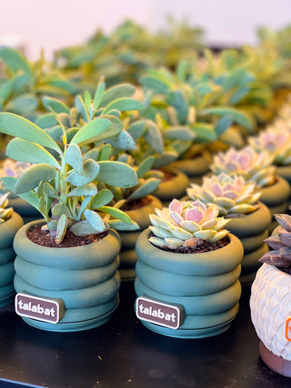 PlantMe - Zen Loops Planter Pot (Logo/Name Customized)