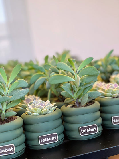 PlantMe - Zen Loops Planter Pot (Logo/Name Customized)