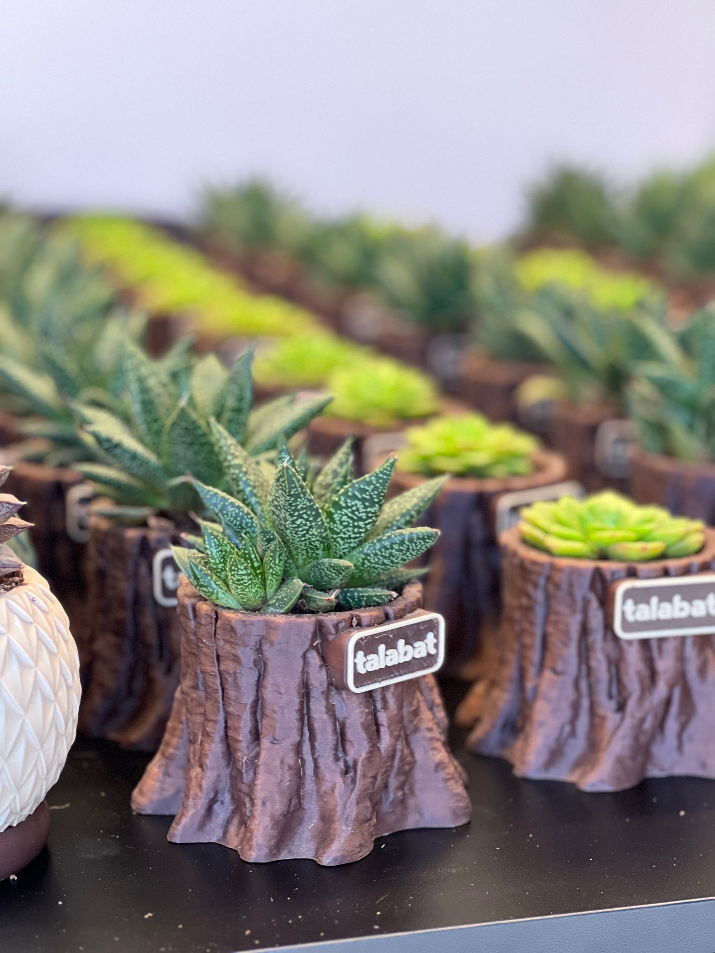 PlantMe - Root Rise Planter Pot (Logo/Name Customized)