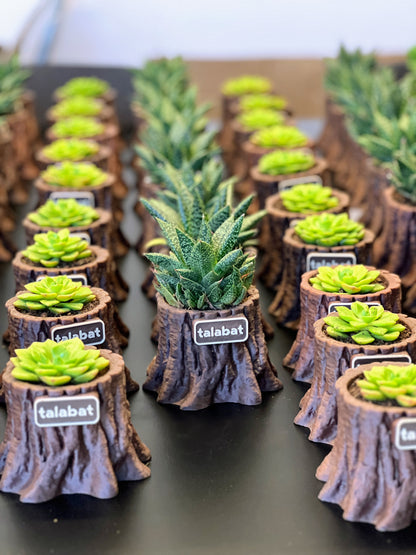 PlantMe - Root Rise Planter Pot (Logo/Name Customized)