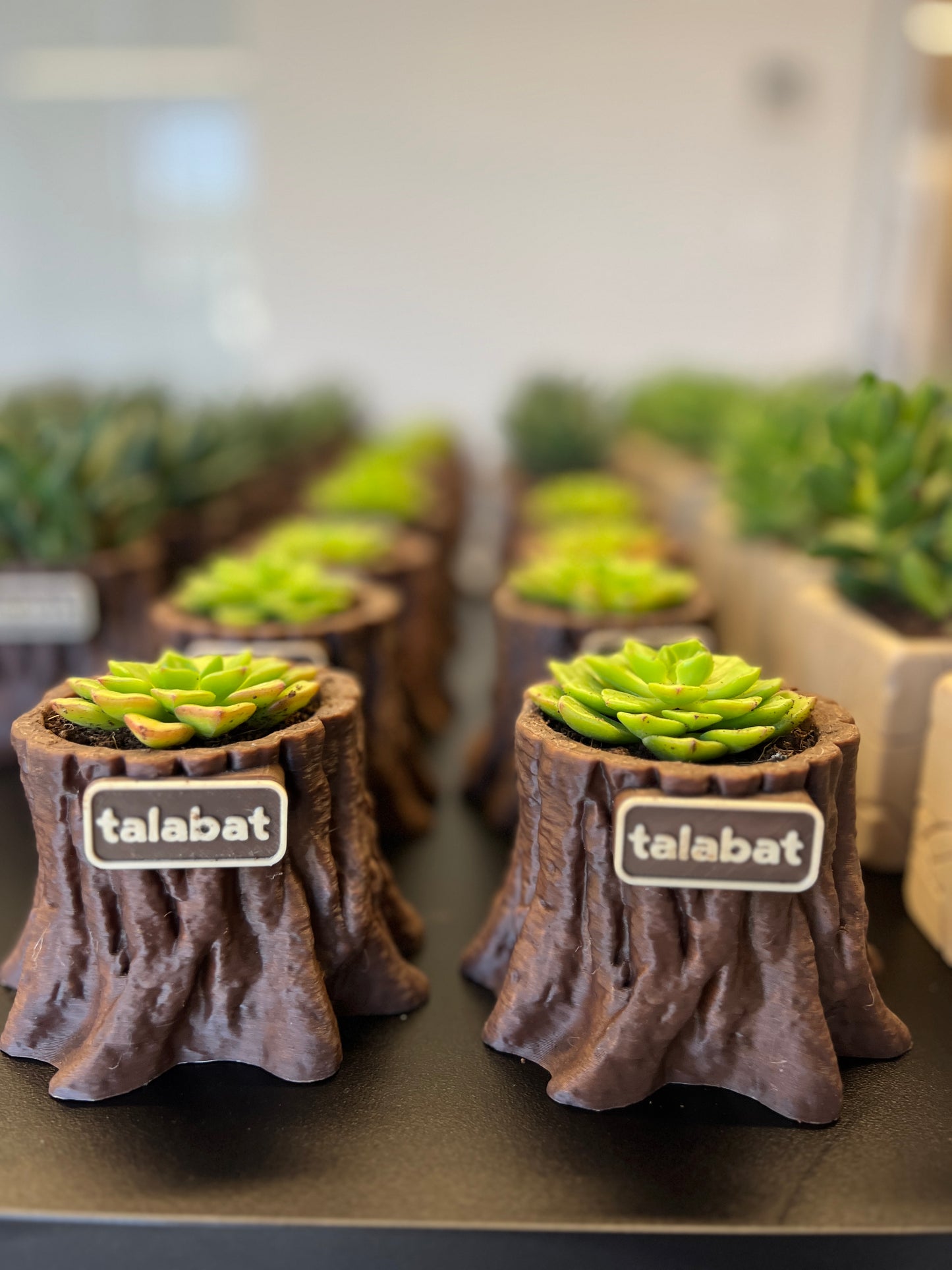PlantMe - Root Rise Planter Pot (Logo/Name Customized)