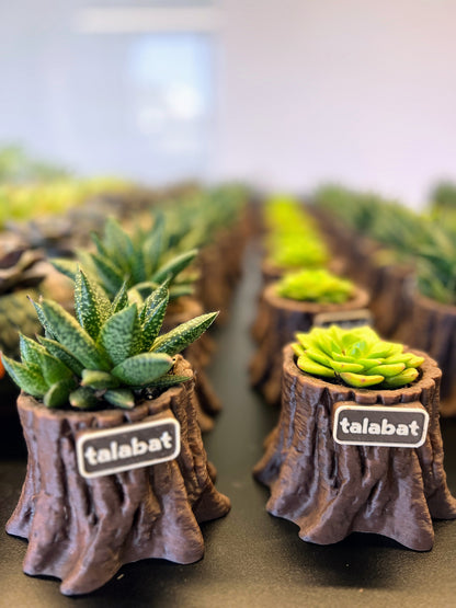 PlantMe - Root Rise Planter Pot (Logo/Name Customized)