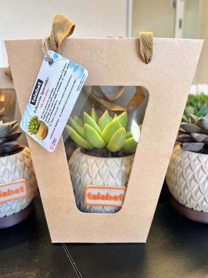 PlantMe - Pine Shell Planter Pot (Logo/Name Customized)